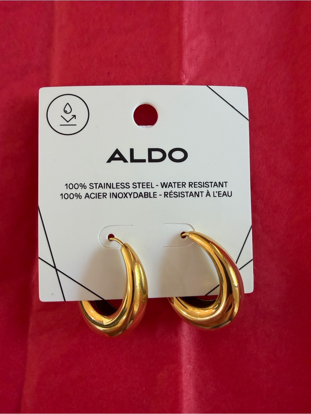 ALDO Gold Sculpted Hoop Earrings